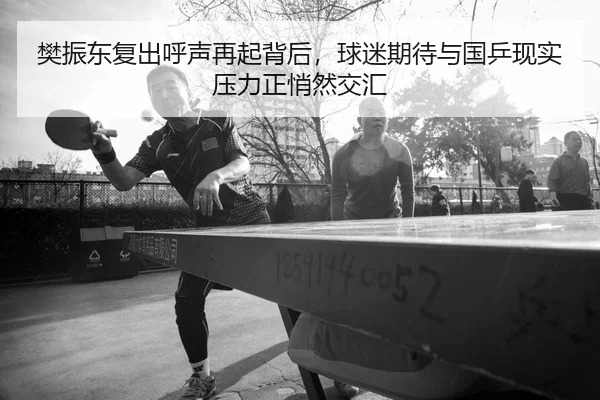 樊振东复出呼声再起背后，球迷期待与国乒现实压力正悄然交汇